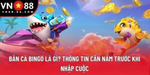 Bắn Cá Bingo Là Gì? Thông Tin Cần Nắm Trước Khi Nhập Cuộc