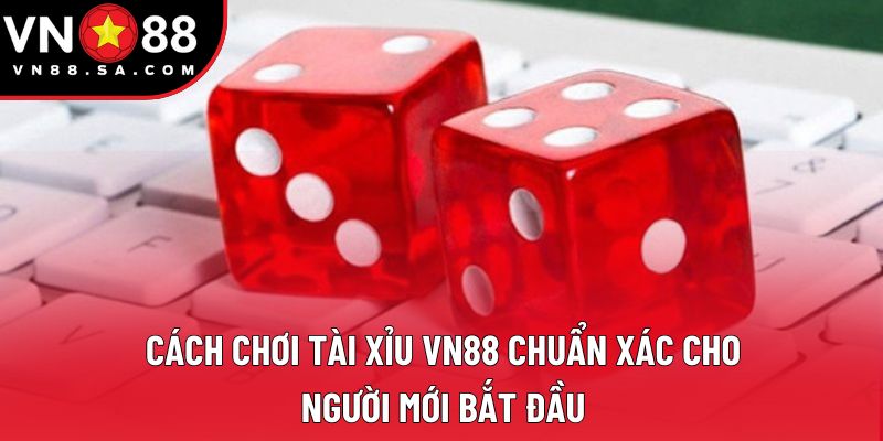 Cách Chơi Tài Xỉu VN88 Chuẩn Xác Cho Người Mới Bắt Đầu