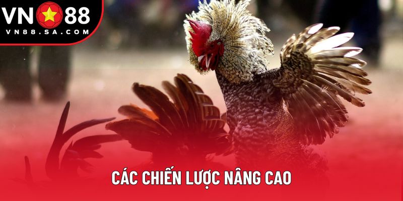 Các chiến lược nâng cao Các chiến lược nâng cao