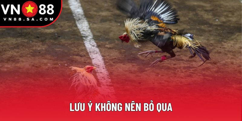 Lưu ý không nên bỏ qua Lưu ý không nên bỏ qua